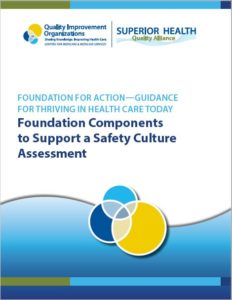 Cover of Safety Culture Assessment