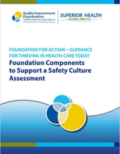 Screenshot Foundations Components to Support a Safety Culture Assessment